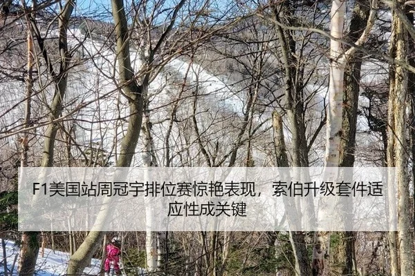 mei-guo-zhan-zhou-guan-yu-pai-wei-sai-jing-yan-biao-xian-suo-bo-sheng-ji-tao-jian-shi-ying-xing-cheng-guan-jian-2-327.jpg